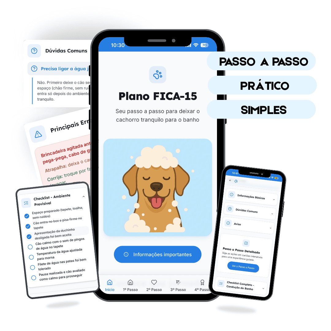 Conteúdo do Plano FICA-15
